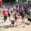 Gran Premio PICEMAR
