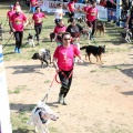Gran Premio PICEMAR