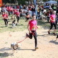 Gran Premio PICEMAR