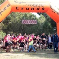 Gran Premio PICEMAR