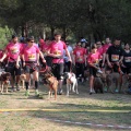 Gran Premio PICEMAR