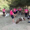 Gran Premio PICEMAR