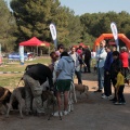 Gran Premio PICEMAR