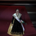 Galania de la reina infantil