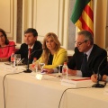 Castellón, 2014