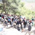 Romeria de les Canyes