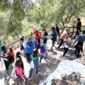 Romeria de les Canyes