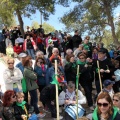 Romeria de les Canyes