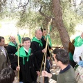 Romeria de les Canyes