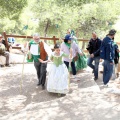 Romeria de les Canyes