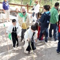 Romeria de les Canyes