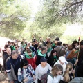 Romeria de les Canyes