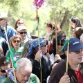 Romeria de les Canyes