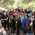 Romeria de les Canyes