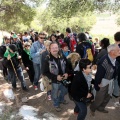 Romeria de les Canyes