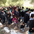 Romeria de les Canyes