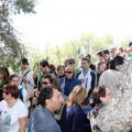 Romeria de les Canyes