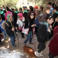 Romeria de les Canyes