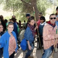 Romeria de les Canyes