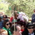 Romeria de les Canyes