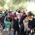 Romeria de les Canyes