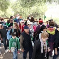 Romeria de les Canyes