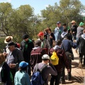 Romeria de les Canyes