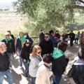 Romeria de les Canyes