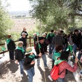 Romeria de les Canyes