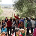 Romeria de les Canyes