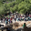 Romeria de les Canyes