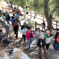 Romeria de les Canyes