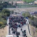 Romeria de les Canyes