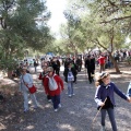 Romeria de les Canyes