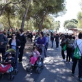 Romeria de les Canyes