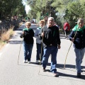 Romeria de les Canyes