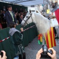 Castellón, Magdalena 2014