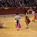 Castellón, Magdalena 2014