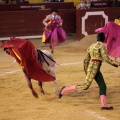 Castellón, Magdalena 2014