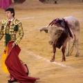 Castellón, Magdalena 2014