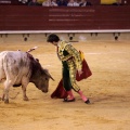 Castellón, Magdalena 2014