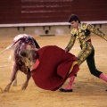 Castellón, Magdalena 2014