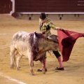 Castellón, Magdalena 2014