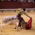 Castellón, Magdalena 2014