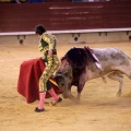 Castellón, Magdalena 2014