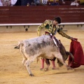 Castellón, Magdalena 2014