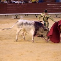 Castellón, Magdalena 2014