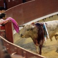 Castellón, Magdalena 2014