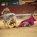 Castellón, Magdalena 2014