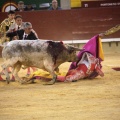 Castellón, Magdalena 2014